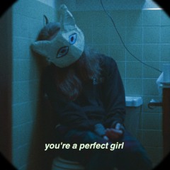 perfect girl (music video)