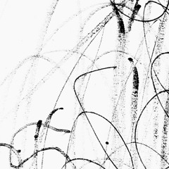 Symmetrié VII