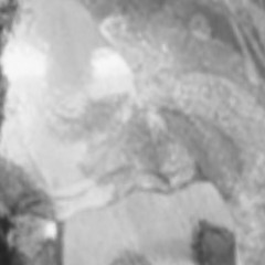 Fyeonyabro (deadpale)