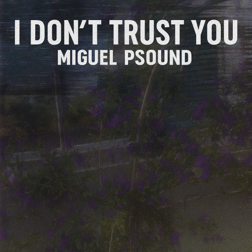 I Don’t Trust You