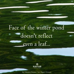 Face of the winter pond [naviarhaiku540]