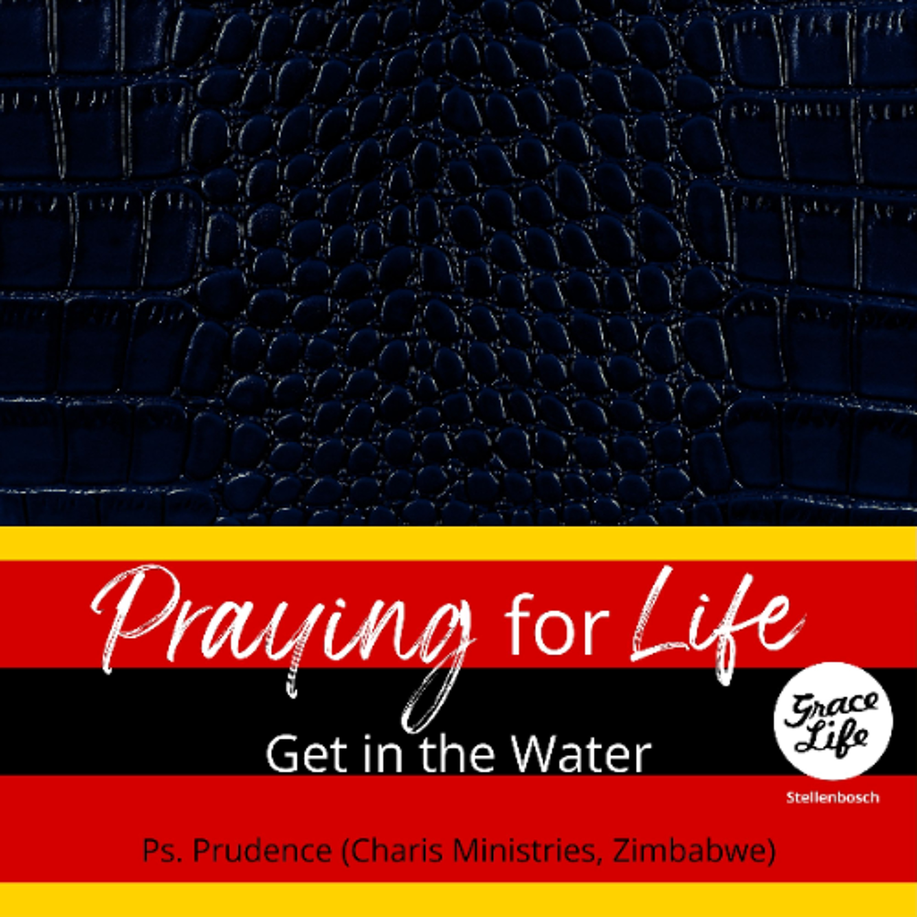 Praying for Life - Ps. Prudence (Charis Ministries Zimbabwe) episode artwork