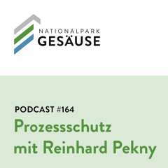 Podcast #164 Prozessschutz