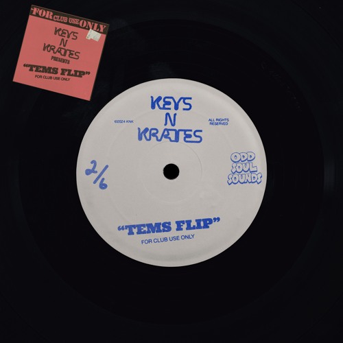 Tems Flip