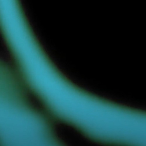 Fragment 528