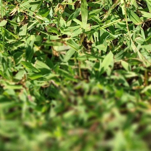 Days before meant more