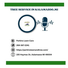 how-can-i-save-money-on-tree-removal-services-in-kalamazoo-mi