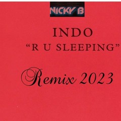 R u Sleeping 2023 remix