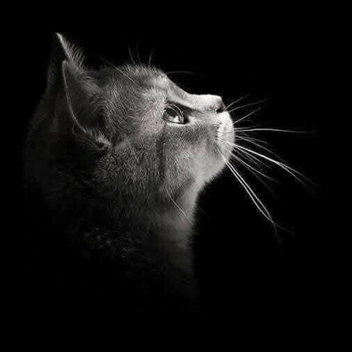 1H Nhạc kem sâu lắng (new style) HungB mixing