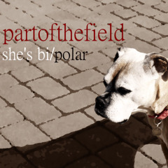 she's bi/polar