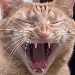 Villainous (feat.kovou)