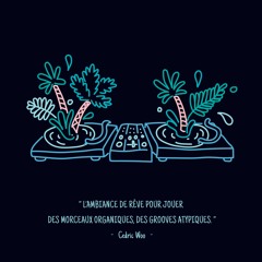 Les Vinyles Du Dimanche #3 - Cedric Woo / Beauty & The Beat