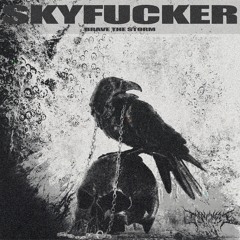SKYFUCKER