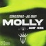 MOLLY- Cedric Gervais x Joel Corry (JADMP-Remix)