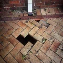 The step Files