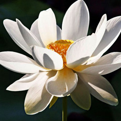 OPEN UP YOUR EYES but i slowed it