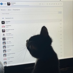Internet love // can’t sleep