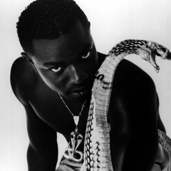 Blay Vision(Cammy Riddim) vs Mad Cobra (Dis Dem Anyweh) mashup