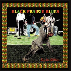 Black Prairie Blues