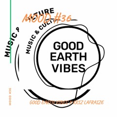 Mood #36 - 'Good Earth Festival - live'