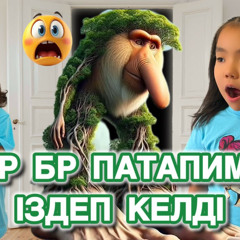 открой базу и верни мне бр патапима🤬