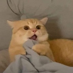 BRRRuuMMM