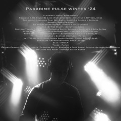 Paradime Pulse ❄️ Winter 2024
