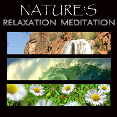 Gentle River and Forest Stream for Deep Sleep. Peaceful Music for Spa Relaxation (Music for Sleep and Studying)