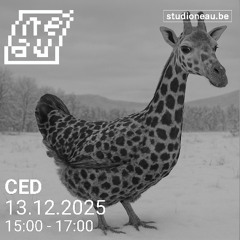 CED — Bazar Bizar #41