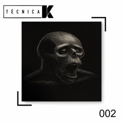 Snippets Técnica V/A 002 "Unremarkable Gaiety"