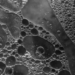 Eternité par les Astres