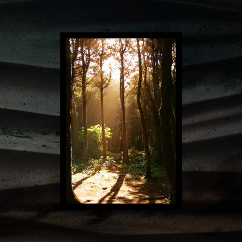 Napping in the Garden