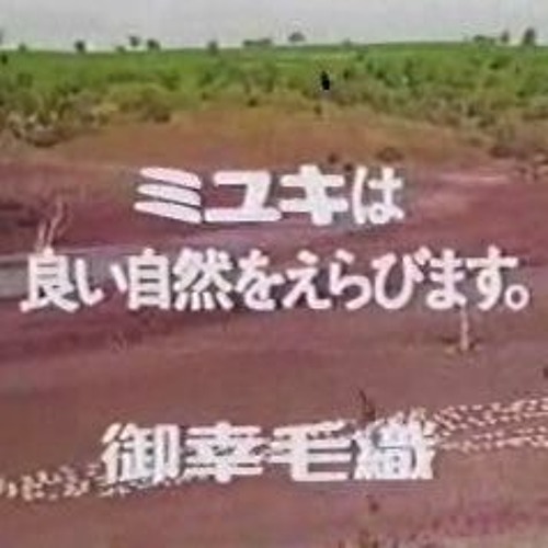 ファンシーテックス