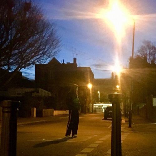 Stream How Long Do We Have Left? by chloe.stiens Listen online for