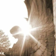 I spent Days and I spent Nights just asking why