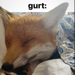 VNESHNIY MIR [17-EDO]