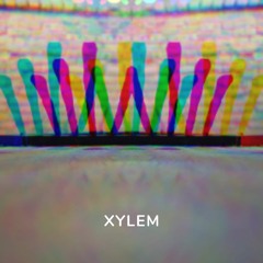 Xylem