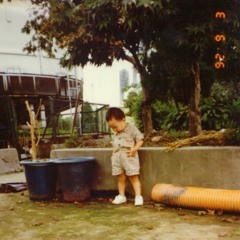 20세기의 기억(화학평형 DEMO)