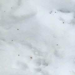 JobanaGoodProduction - Underwater