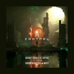 Mahmut Orhan & Ali Arutan - In Control(Robert Georgescu And White Remix)