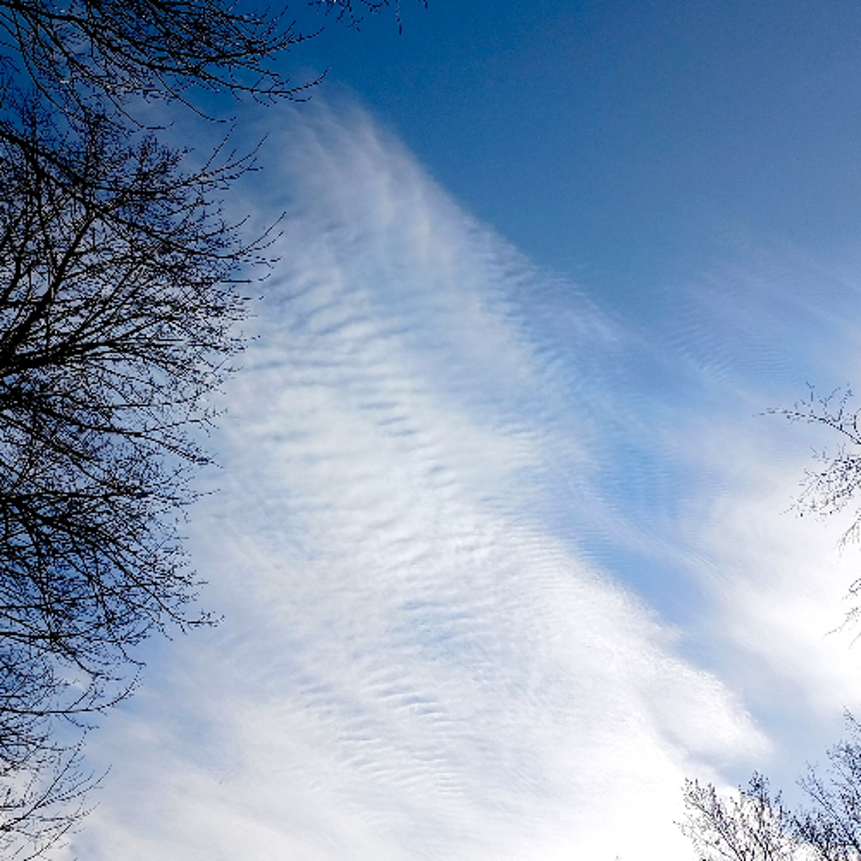 Forecast from Monday, 4-20-26