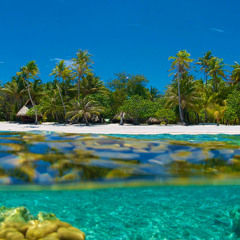 Stranger x Vulva Diva Ledger Mix