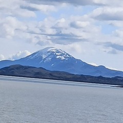אני מכחול – מילים: עוזי שלו | לחן: איל באט | עיבוד וביצוע: עמית פוזננסקי