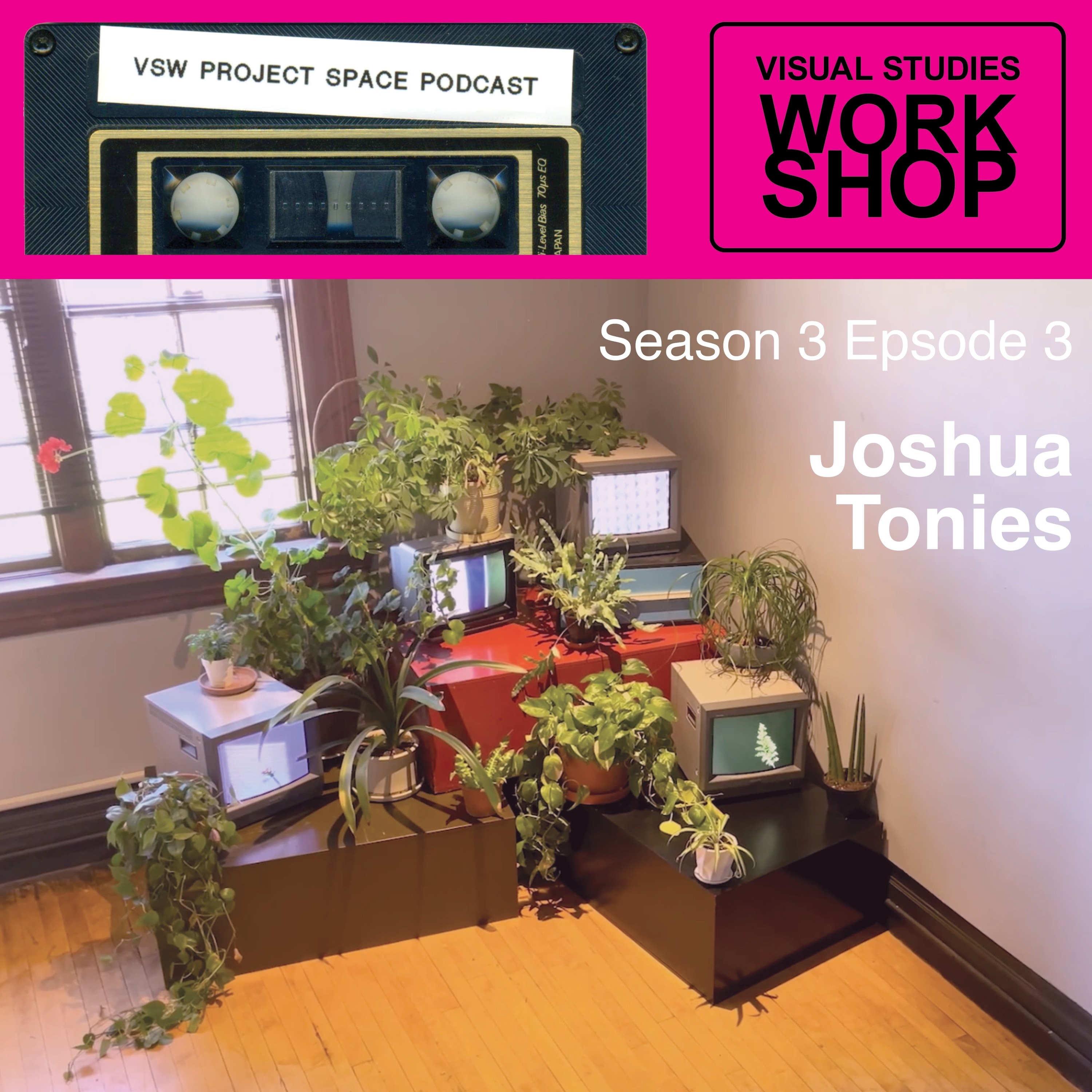 VSW Project Space Podcast