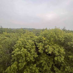 The joys of my creations