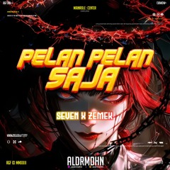PELAN PELAN SAJA [ ALDRMDHN X SEVEN X ZEMEK ]