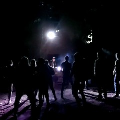 der botaniker@Arns Birthdayrave 19.09.2020