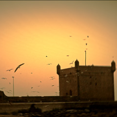 SEUIL OST
