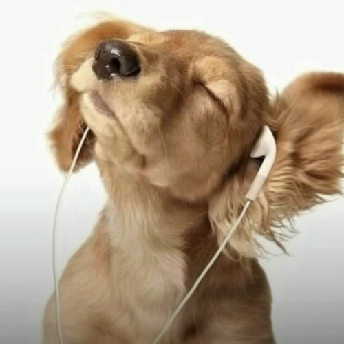 diamonds @onjrawdiee @turdymanjone