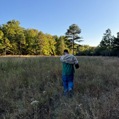 meadow music : full bloom edition +